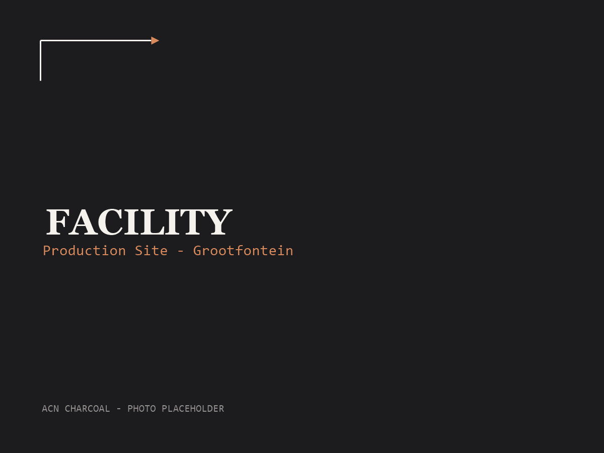 ACN Charcoal — Tesis