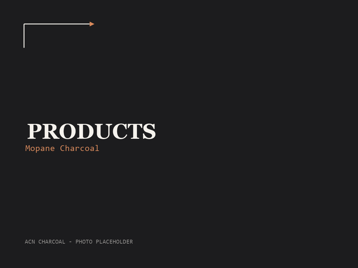 ACN Charcoal — Ürünler